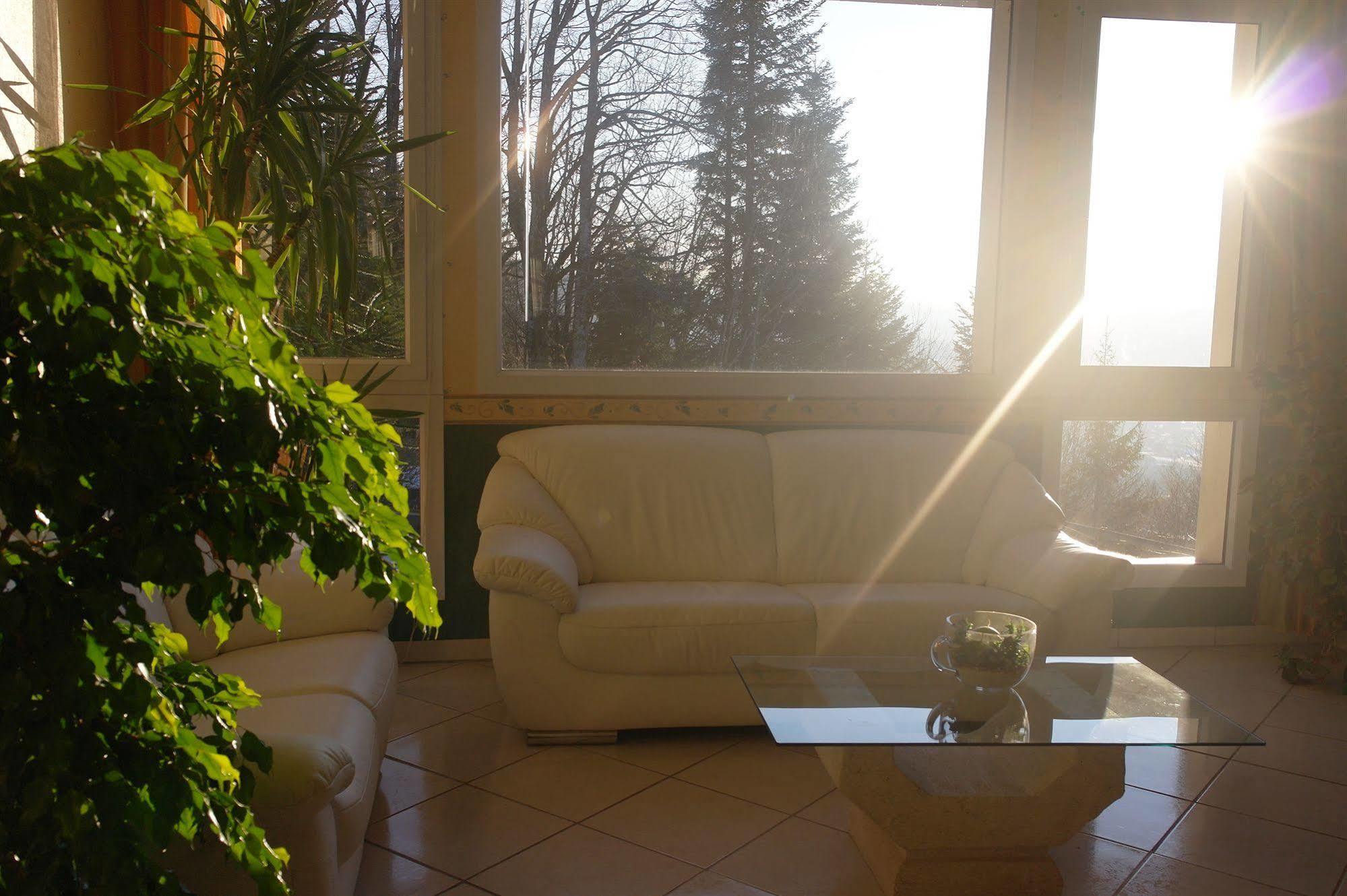Hostellerie Saint Clement Vic-sur-Cère Eksteriør billede