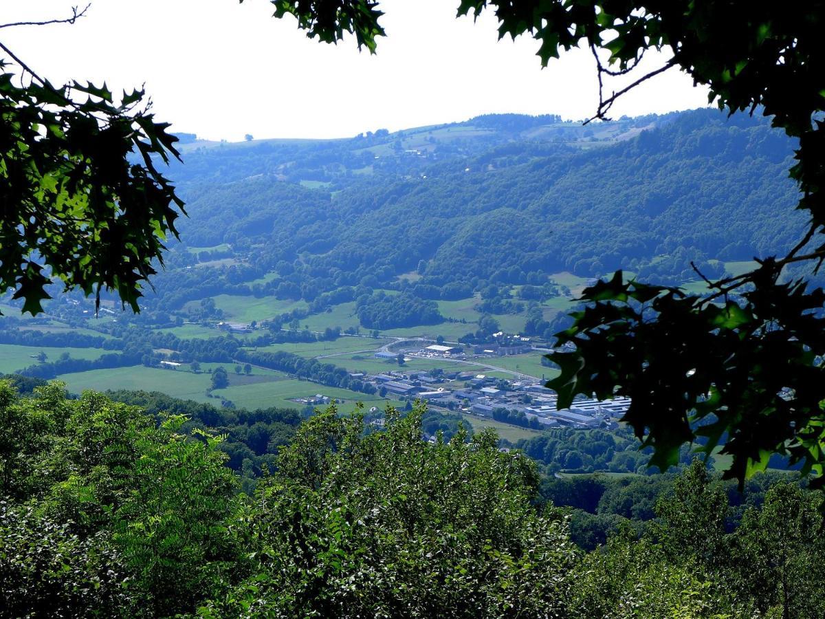 Hostellerie Saint Clement Vic-sur-Cère Eksteriør billede